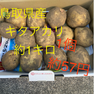 鳥取県産　ジャガイモ　1キロ　無農薬
