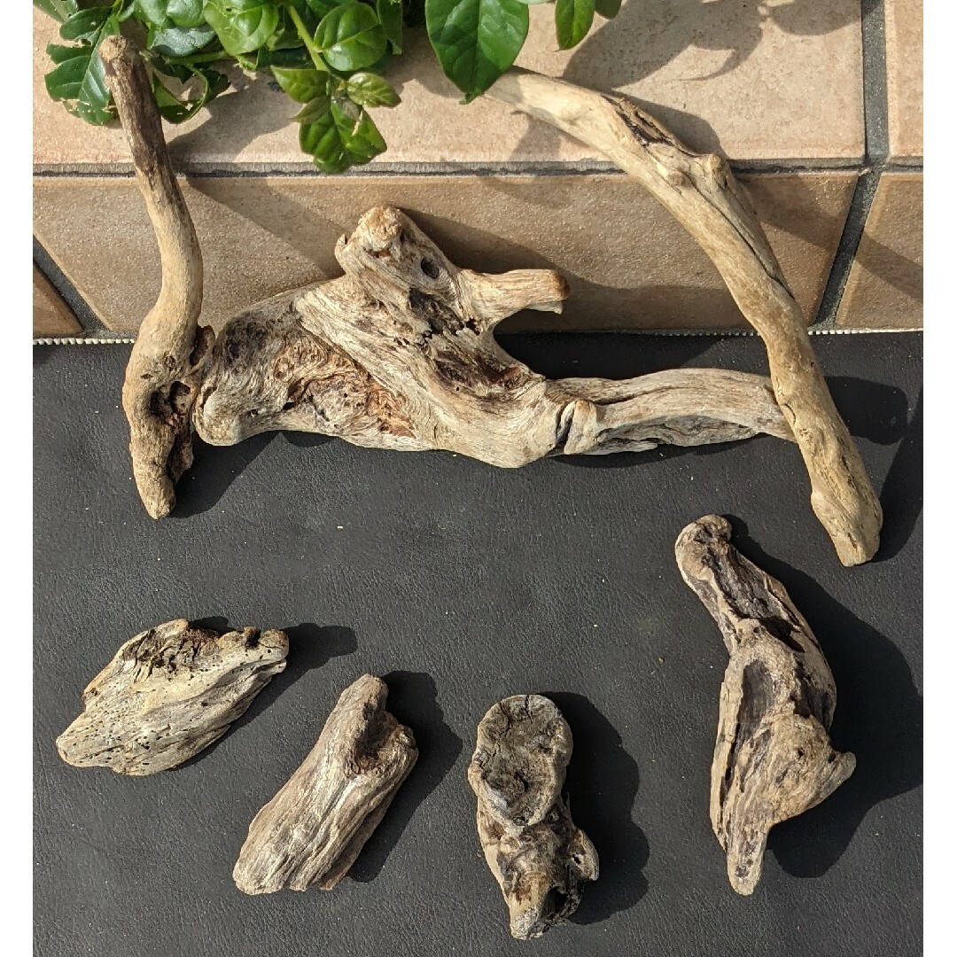在庫処分ZY天然流木【白系小型】7本組レイアウト用品、アク抜き済 沈水