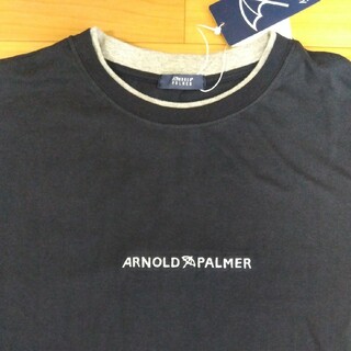 アーノルドパーマー(Arnold Palmer)のL　アーノルドパーマー　新品　半袖Tシャツ　メンズ　ネイビー(Tシャツ/カットソー(半袖/袖なし))
