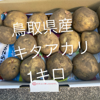 鳥取県産　ジャガイモ　1キロ　無農薬(野菜)