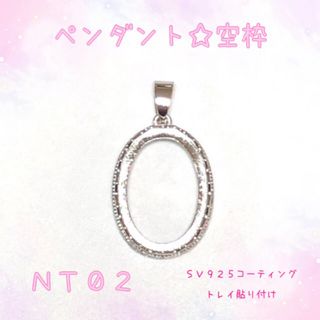 【NT02】ペンダントトップ☆ネックレストップ☆空枠(各種パーツ)