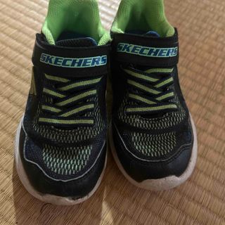 スケッチャーズ(SKECHERS)の子供用靴17cm(スニーカー)