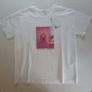 ニジュウサンク(23区)の新品　23区 Ｔシャツ　カットソー  40(Tシャツ(半袖/袖なし))