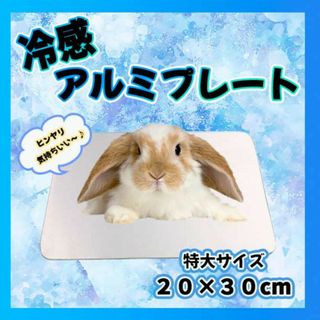 冷感アルミプレート 20×30 クール 熱中症対策 うさぎ モルモット ペット(小動物)