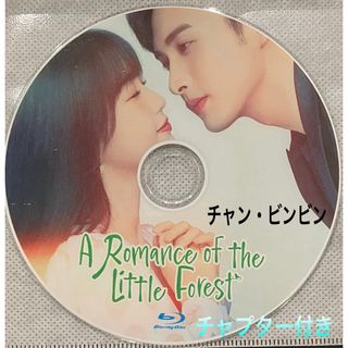 中国ドラマ　A Romance of the Little Forest 