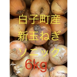 白子町産 新玉ねぎ ソニック 6kg(野菜)