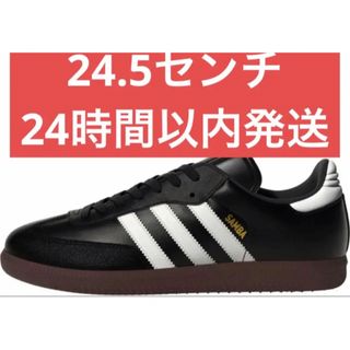  24.5 新品　adidas アディダス　サンバ  SAMBA 019000