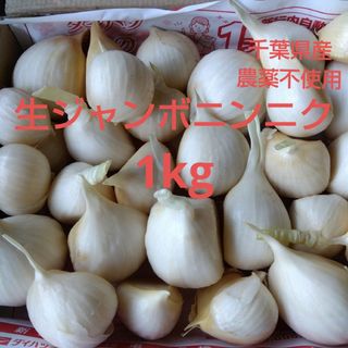 千葉県産生ジャンボニンニク１kg栽培期間中農薬不使用(野菜)