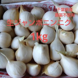 千葉県産生ジャンボニンニク1kg栽培期間中農薬不使用(野菜)