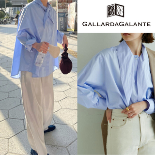 GALLARDA GALANTE - 【美品】ガリャルダガランテ　タイシャツ　ブルー　定価20,900円　フリー