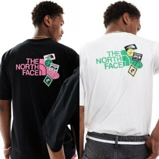 THE NORTH FACE - 【The North Face】エクスペディション バックプリント T シャツ