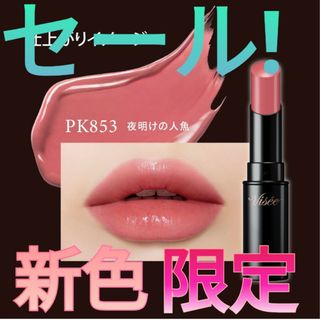 【限定】【新品・新色】ヴィセ　ネンマクフェイクルージュ　PK853　夜明けの人魚