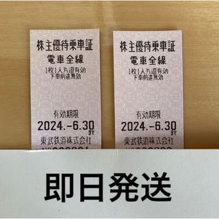 東武鉄道株主優待乗車証２枚 乗車券 有効期限2024/6/30