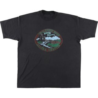 古着 ~90年代 プリントTシャツ メンズXXL ヴィンテージ /eaa454548(Tシャツ/カットソー(半袖/袖なし))