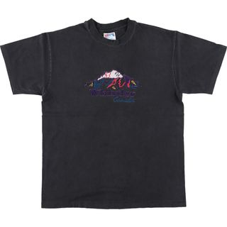 ヘインズ(Hanes)の古着 90年代 ヘインズ Hanes BEEFY-T 刺繍Tシャツ USA製 メンズM ヴィンテージ /eaa454549(Tシャツ/カットソー(半袖/袖なし))