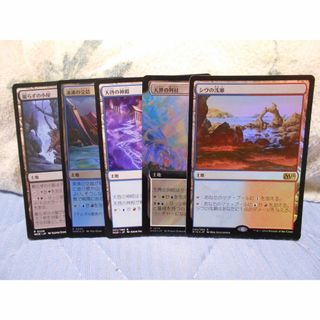 レア2色土地セット MTG 日本語 5枚(シングルカード)