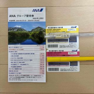 エーエヌエー(ゼンニッポンクウユ)(ANA(全日本空輸))のANA 株式優待券(その他)