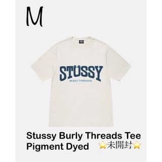 STUSSY - Stussy Burly Threads Tee Pigment Dyed  M