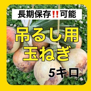 吊るして保存‼️玉ねぎ5kg入(野菜)