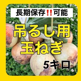 吊るして保存‼️玉ねぎ5kg入