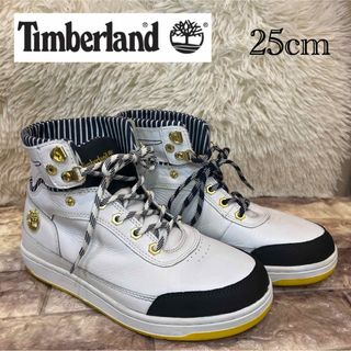 ティンバーランド(Timberland)の極美品　[ティンバーランド](イテザロールトップ) 6211A ホワイト25cm(スニーカー)