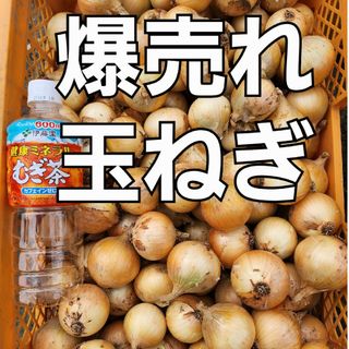 玉ねぎ　玉ねぎ10キロ　2Sサイズ