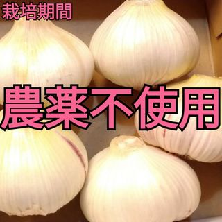 にんにく（土付き）宅急便コンパクト発送(野菜)