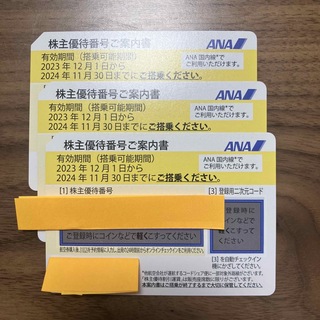 ANA株主優待制券3枚　期限2024年11月30日(その他)