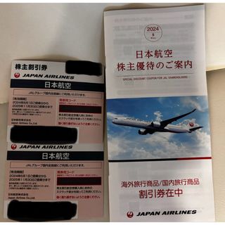 JAL 日本航空　株主優待(その他)