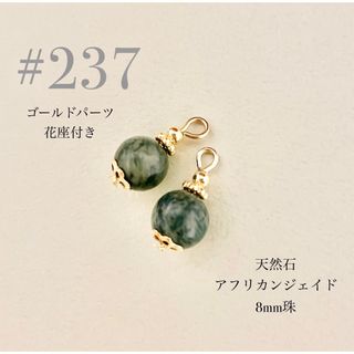 ピアス　237