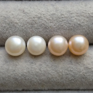 256 淡水真珠ピアス 2色セット ホワイト 白 ピンクベージュ系 本真珠(ピアス)