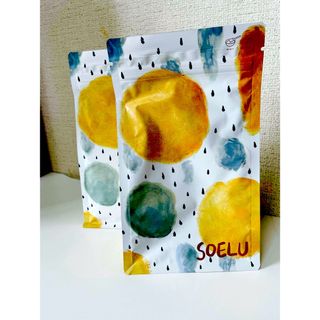 【2個】SOELU プロテイン 黒ごまきなこ味 180g (プロテイン)