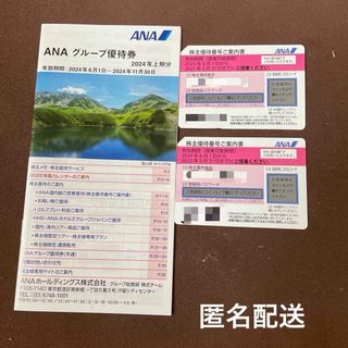 ANA 全日空　株主優待2枚　冊子1冊(航空券)