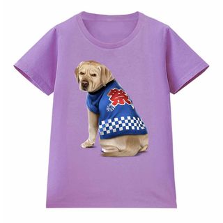 ラブラドールレトリバー 犬 いぬ 法被 夏祭り花火 半袖 Tシャツ メンズ(Tシャツ(半袖/袖なし))