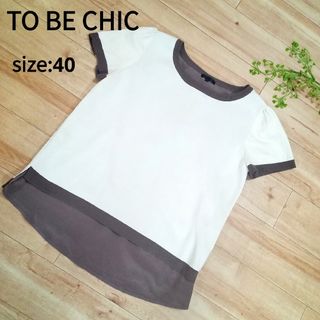 トゥービーシック(TO BE CHIC)のトゥビーシック　半袖ニット　カットソー　リボン　ホワイト　ブラウン　L(ニット/セーター)