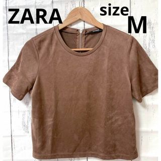 ザラ(ZARA)のZARA ザラ　ベロア　秋冬　Mサイズ　古着女子　シンプル　おしゃれ　カジュアル(カットソー(半袖/袖なし))