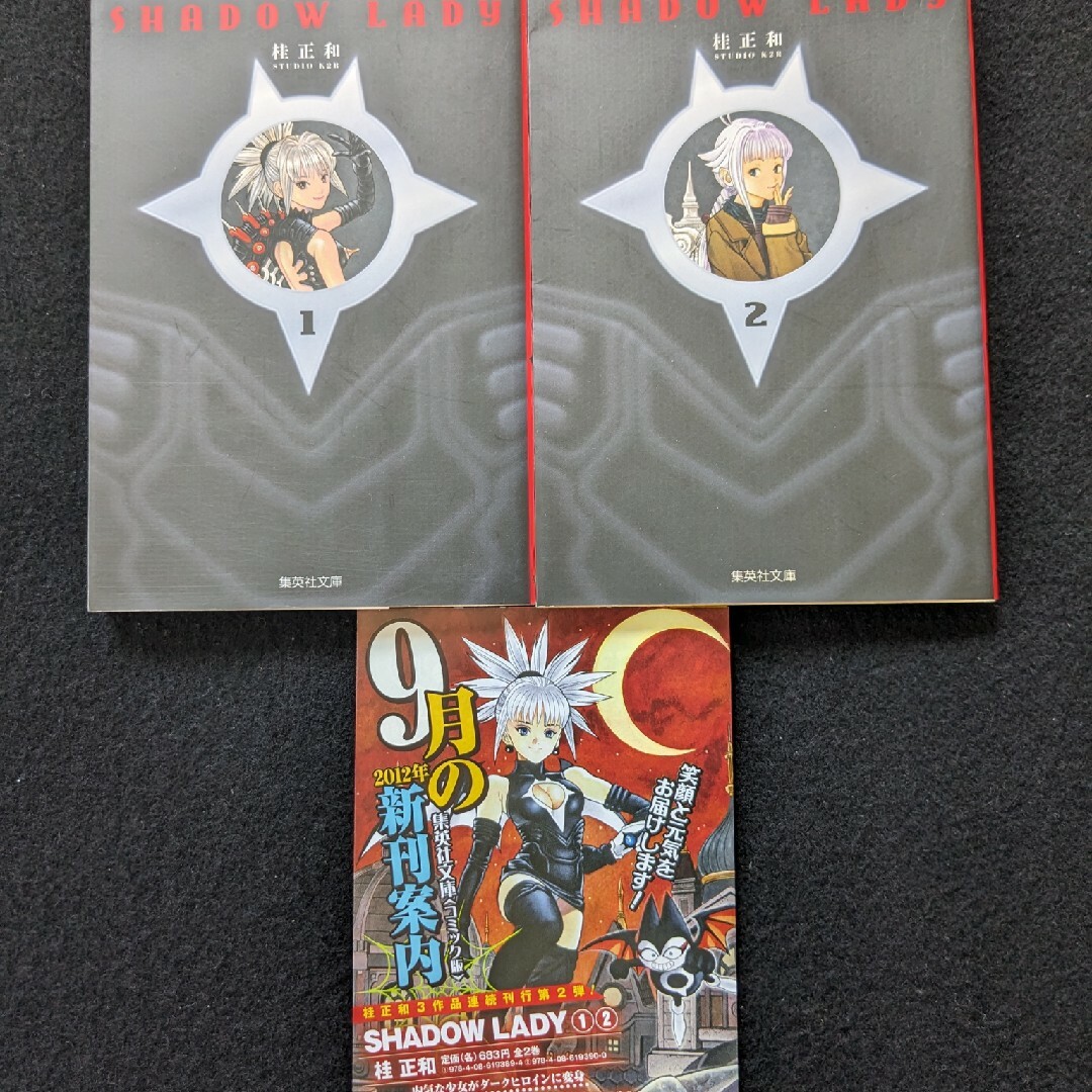 SHADOW LADY シャドウレディ 文庫本 1 2巻 全巻セット 桂正和の SHADOW LADY シャドウレディ 文庫本 1 2巻 全巻セット 桂正和の