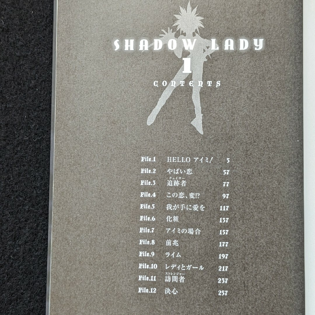 SHADOW LADY シャドウレディ 文庫本 1 2巻 全巻セット 桂正和の SHADOW LADY シャドウレディ 文庫本 1 2巻 全巻セット 桂正和の