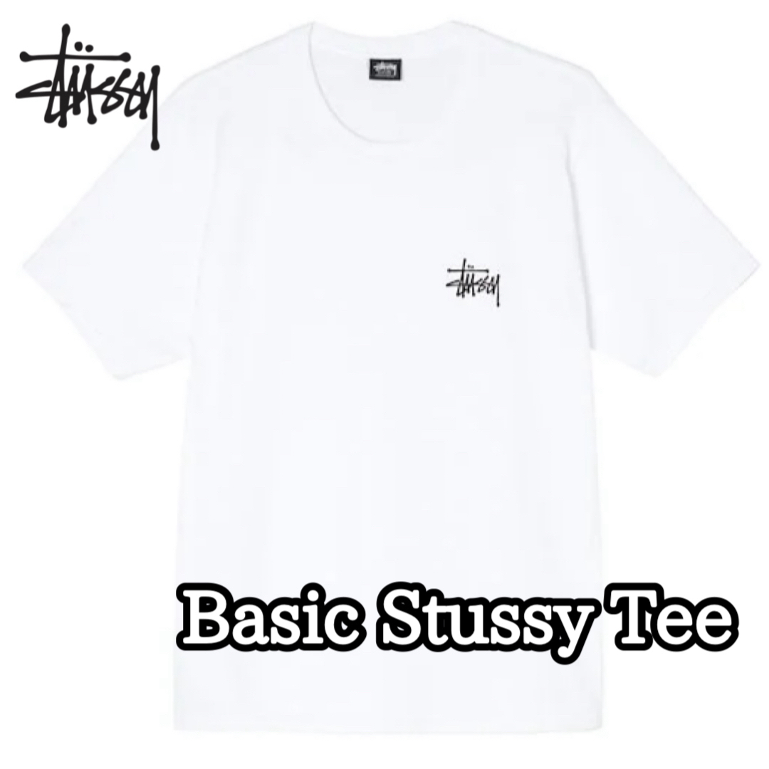 STUSSY - ステューシー メンズ レディース Tシャツ 半袖 STUSSY - ステューシー メンズ レディース Tシャツ 半袖
