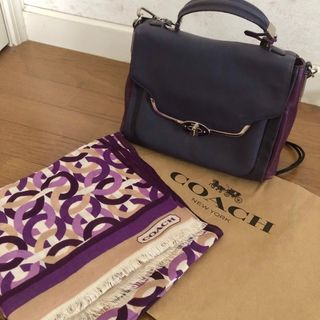 コーチ(COACH)のコーチ　coach バッグandストール　２点セット(ハンドバッグ)