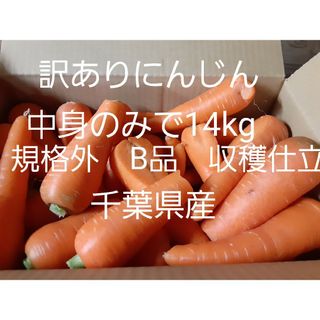 訳有にんじん 14kg　B品　フルーツにんじん　ニンジン　人参　千葉県産ま