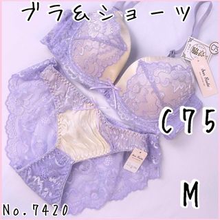 ブラジャーショーツセットC75    No.7420(ブラ&ショーツセット)