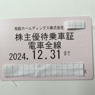 最新　相鉄　株主優待乗車証　電車全線　定期券×1枚　24.12.31まで　(鉄道乗車券)