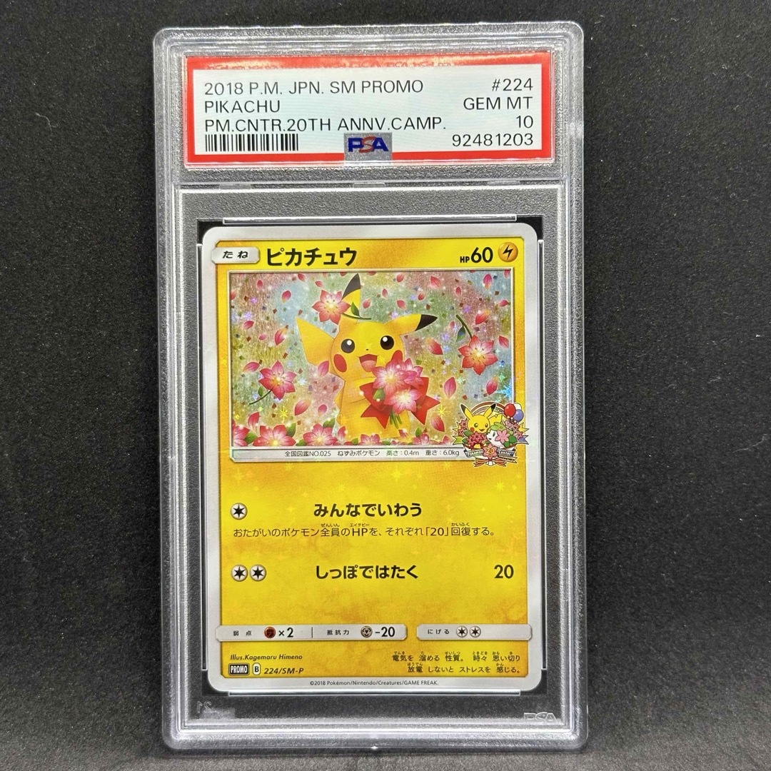 ピカチュウ 224/sm-p プロモ みんなでいわう psa10 シングルカード ピカチュウ 224/sm-p プロモ みんなでいわう psa10 シングルカード