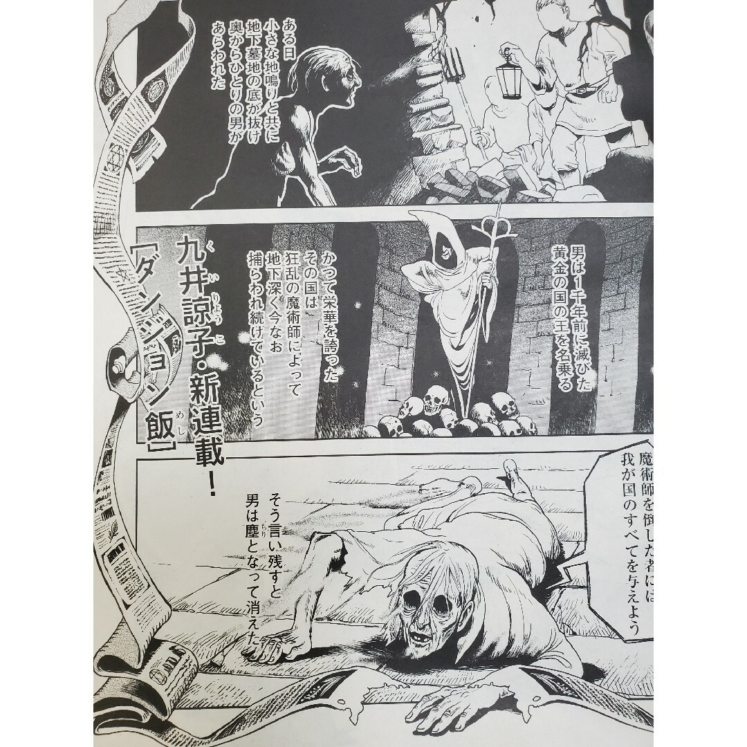 ハルタ、ダンジョン飯新連載号、九井諒子表紙、デイドリーム ハルタ、ダンジョン飯新連載号、九井諒子表紙、デイドリーム