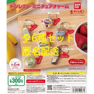 ドンレミー　ミニチュアチャーム　全6種