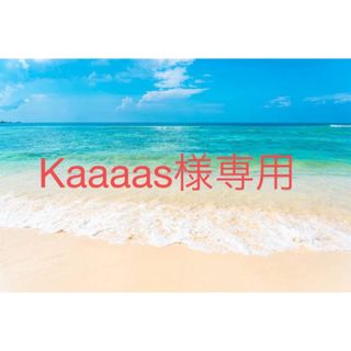 Kaaaas様専用(その他)