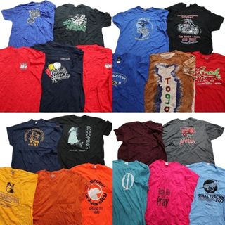 古着卸 まとめ売り カラーmix プリント 半袖Tシャツ 20枚セット (メンズ XL /2XL ) カジュアル ワンポイント NHL オレンジ MT3739(その他)