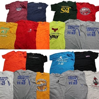 古着卸 まとめ売り カラーmix プリント 半袖Tシャツ 20枚セット (メンズ XL ) カジュアル ワンポイント グレー プロチーム MLB MT3735(その他)