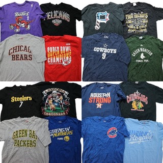 古着卸 まとめ売り プロチーム 半袖Tシャツ 16枚セット (メンズ L ) カレッジ風 NFL MLB NHL スティラーズ MT3876(その他)